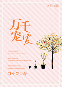 万千宠爱小说by引路星